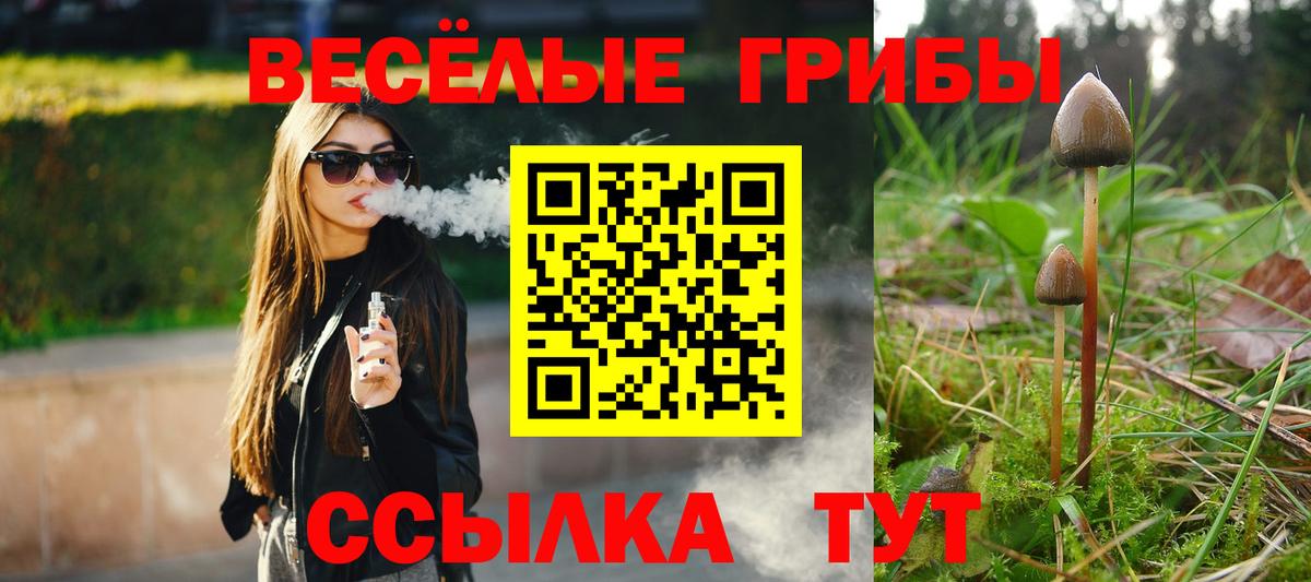 закладки  Галлюциногенные грибы Cubensis  Вход с VPN  Похвистнево 